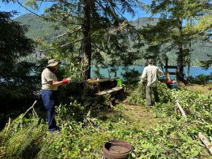 Two men work outdoors by a lakeshore, cutting branches near a workbench with tools, as pine trees and a blue lake loom in the background.