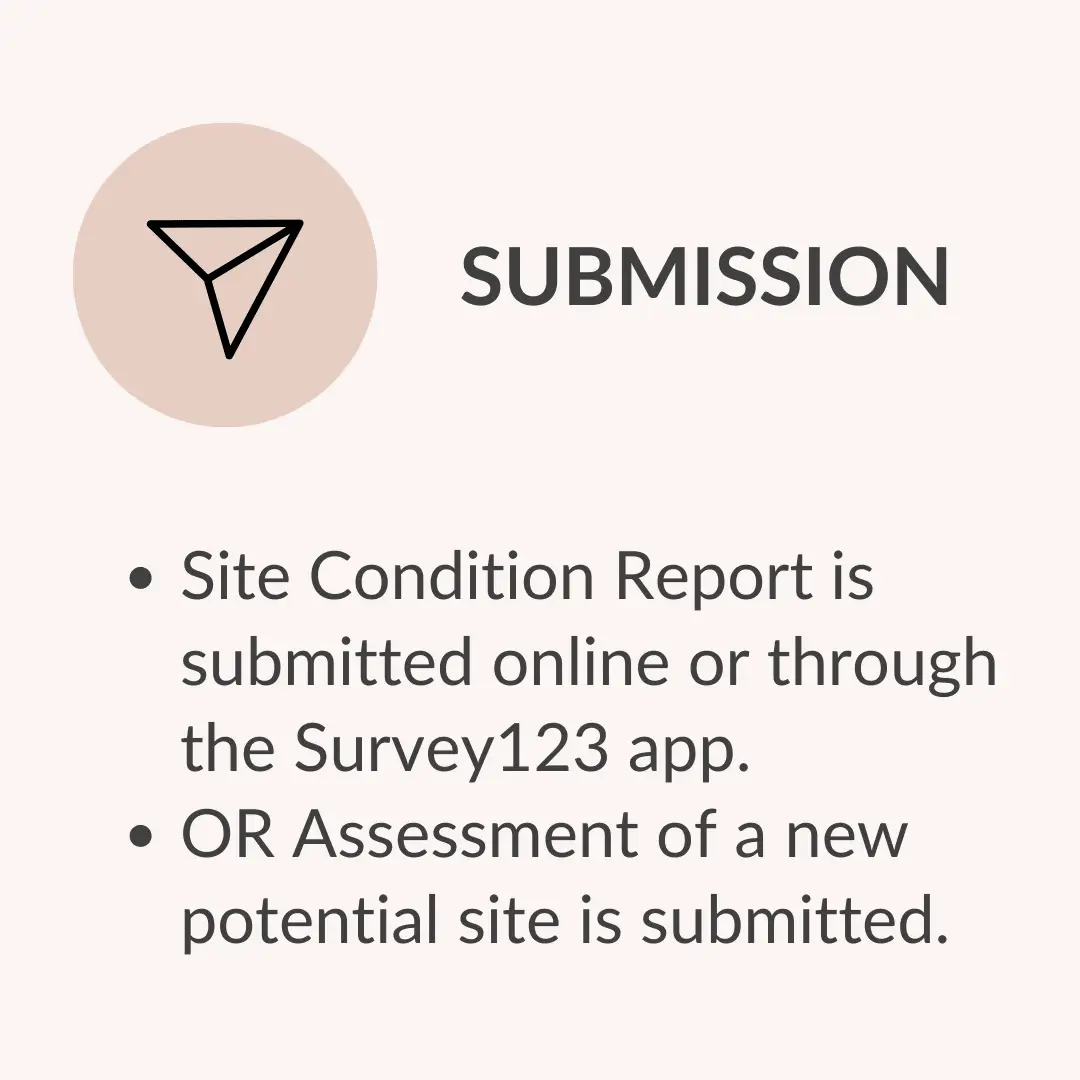 Graphic titled 'SUBMISSION' showing a peach circle icon on the left; bullet points explain submission: 'Site Condition Report is submitted online or through the Survey123 app.' and 'OR Assessment of a new potential site is submitted.'