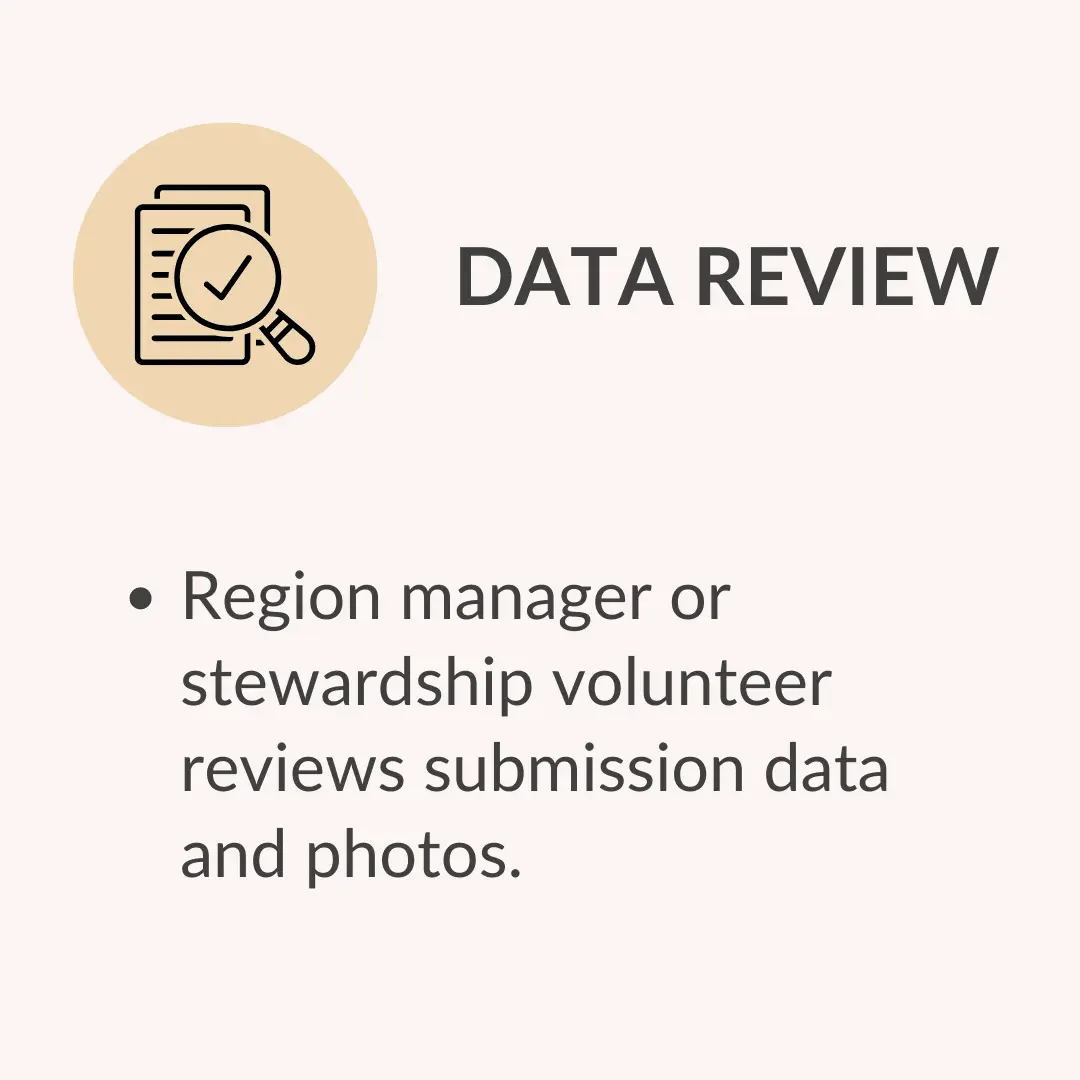 Data review slide: icon of documents with a magnifying glass; heading DATA REVIEW; bullet reads: Region manager or stewardship volunteer reviews submission data and photos.