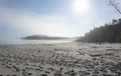 North Beach, Calvert Island, By Lycette Clark
