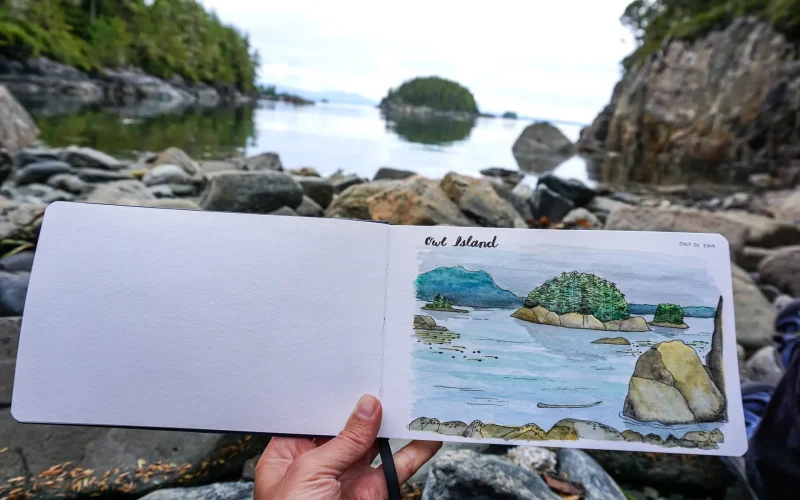 Blue Yonder Creative - Painting in the Field - 1 COVER - Owl Island