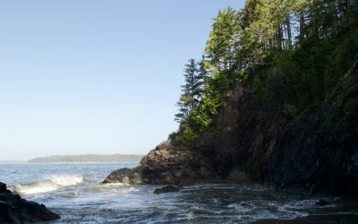 DSC_0112 This picture was taken within ƛaakašiis—pronounced Tlaa-ka-shiis—located within Tla-o-qui-aht Tribal Parks. There is no concept of the word "wilderness" in the Nuu-chah-nulth language. The closest term, "walyuu", translates to "home". What may appear as untamed or "wild" landscapes to outsiders are, in fact, territories that have been carefully managed and nurtured by Nuu-chah-nulth peoples for millennia.