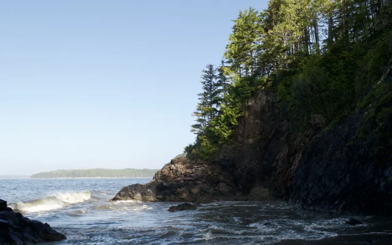This picture was taken within ƛaakašiis—pronounced Tlaa-ka-shiis—located within Tla-o-qui-aht Tribal Parks. There is no concept of the word "wilderness" in the Nuu-chah-nulth language. The closest term, "walyuu", translates to "home". What may appear as untamed or "wild" landscapes to outsiders are, in fact, territories that have been carefully managed and nurtured by Nuu-chah-nulth peoples for millennia.