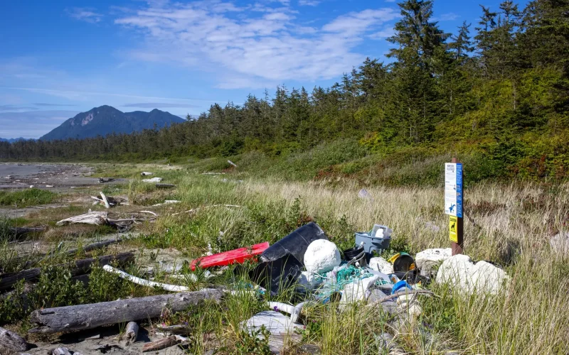 Marine debris drop zone (Ahous Bay) By Sam Cutcliffe