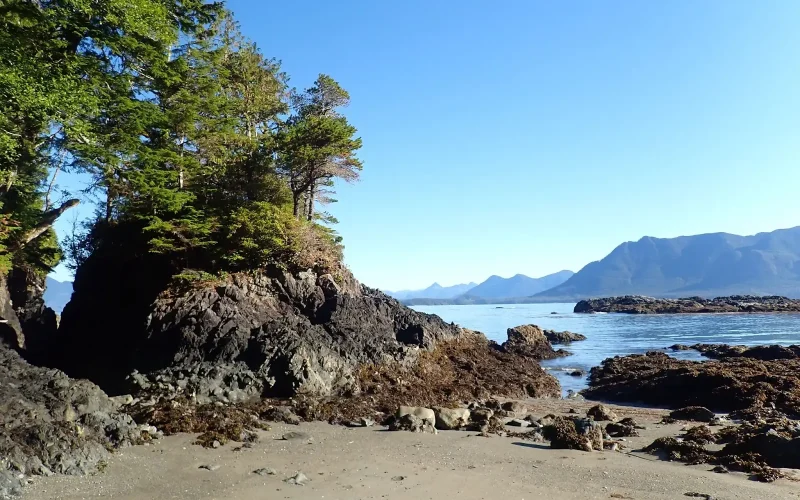 P8210824 Tongue Point Lycette 1