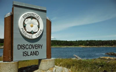 geckopaddler-discoveryisland-june7-sign photo credit - Mark Byrne, Gecko Paddler